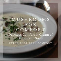Mushrooms for Comfort Ad