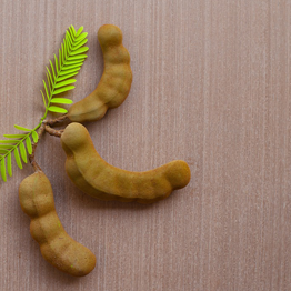 a picture of the special main ingredient