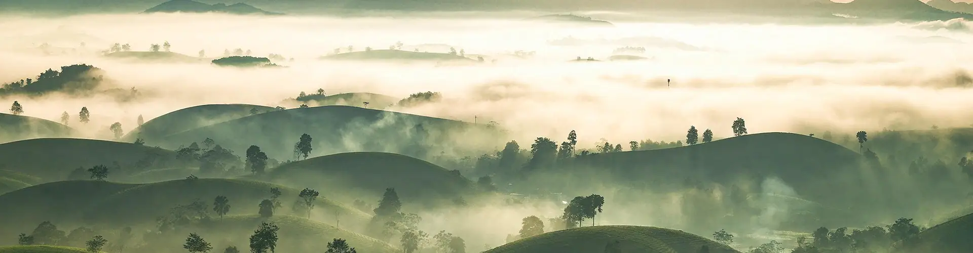 Vietnamese field hills in sunset